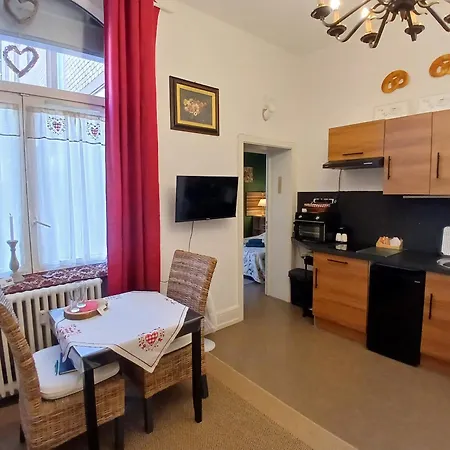 Coeur D'Elsass ,Centre , Avec Parking Appartamento Colmar